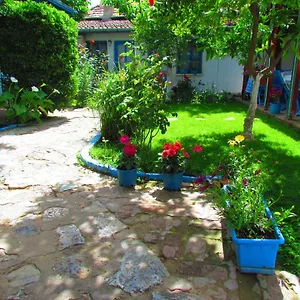 book here